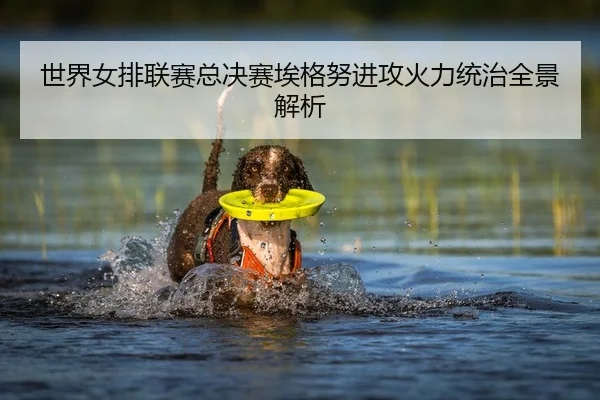 世界女排联赛总决赛埃格努进攻火力统治全景解析
